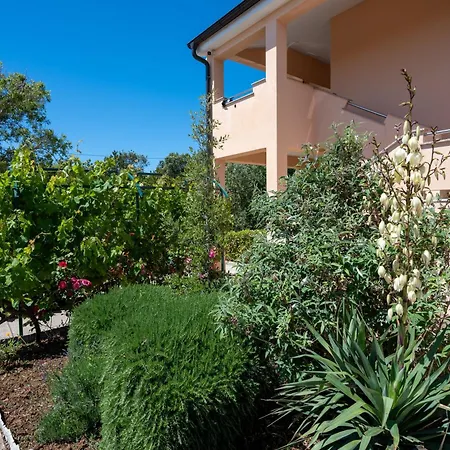 Appartamento With Parking Space Vrsi, Zadar - 25947 Vrsi